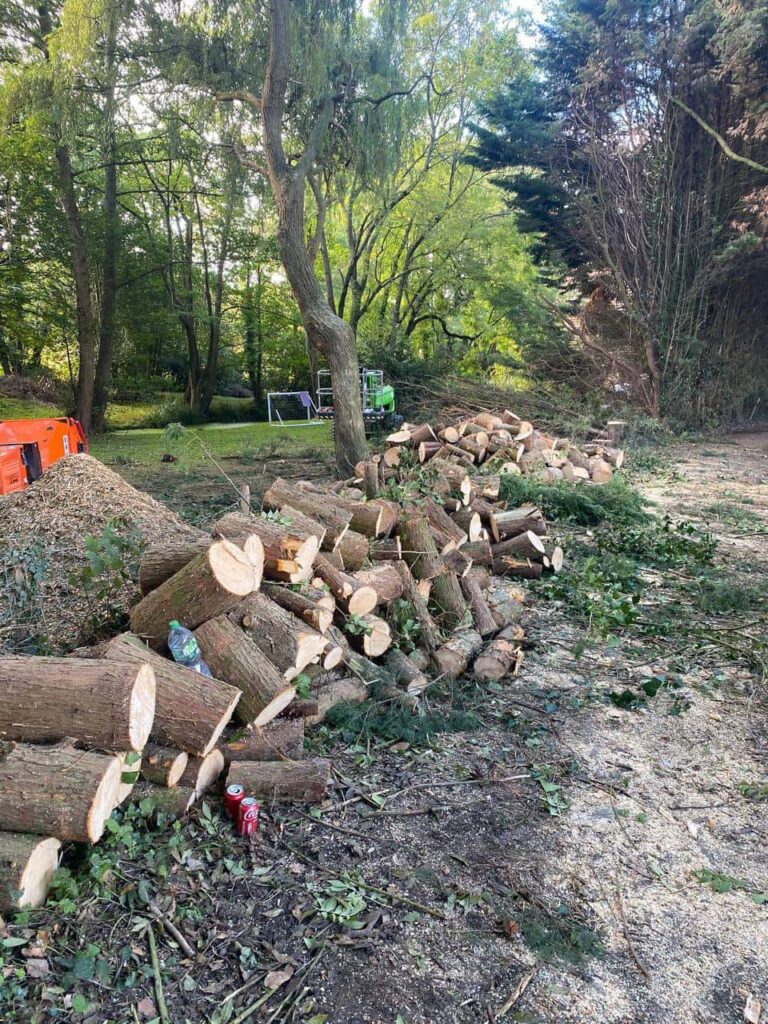 This is a photo of an overgrown large garden, which is in the process of having tree removal. The photo shows a stack of logs along the left hand side, from all the trees which are being removed. Photo taken by Thetford Tree Surgeons.