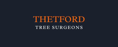 Thetford Tree Surgeons